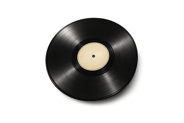 Vinyl record